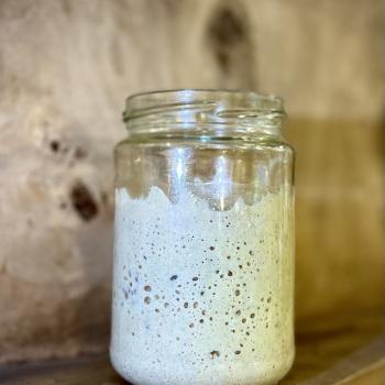 whole wheat starter(mother) recipe
