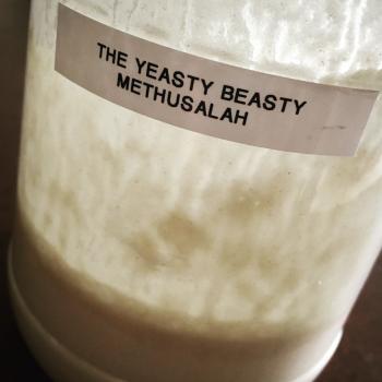 Yeasty Beasty Methuselah  recipe